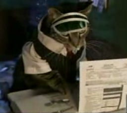 It's Tax Time!  Here's The Purrrfect Solution.